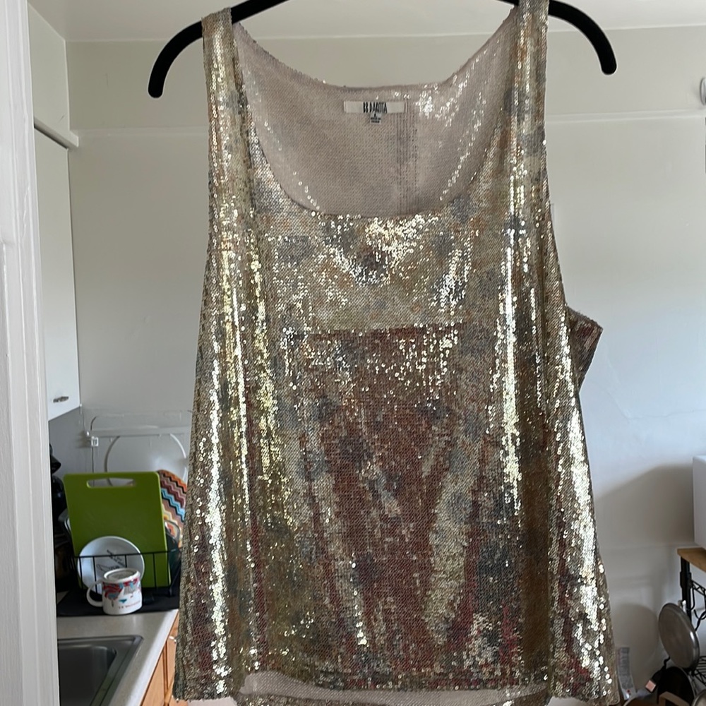 BB Dakota sequin top